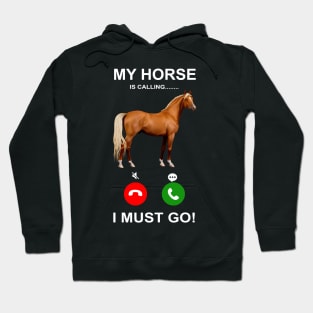 'My Horse Is Calling I Must Go' Funny Horse Gift Hoodie